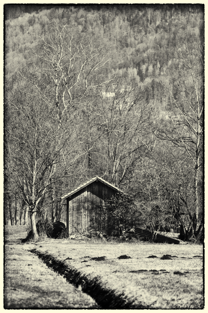 Lauteracherried im M&auml;rz 16